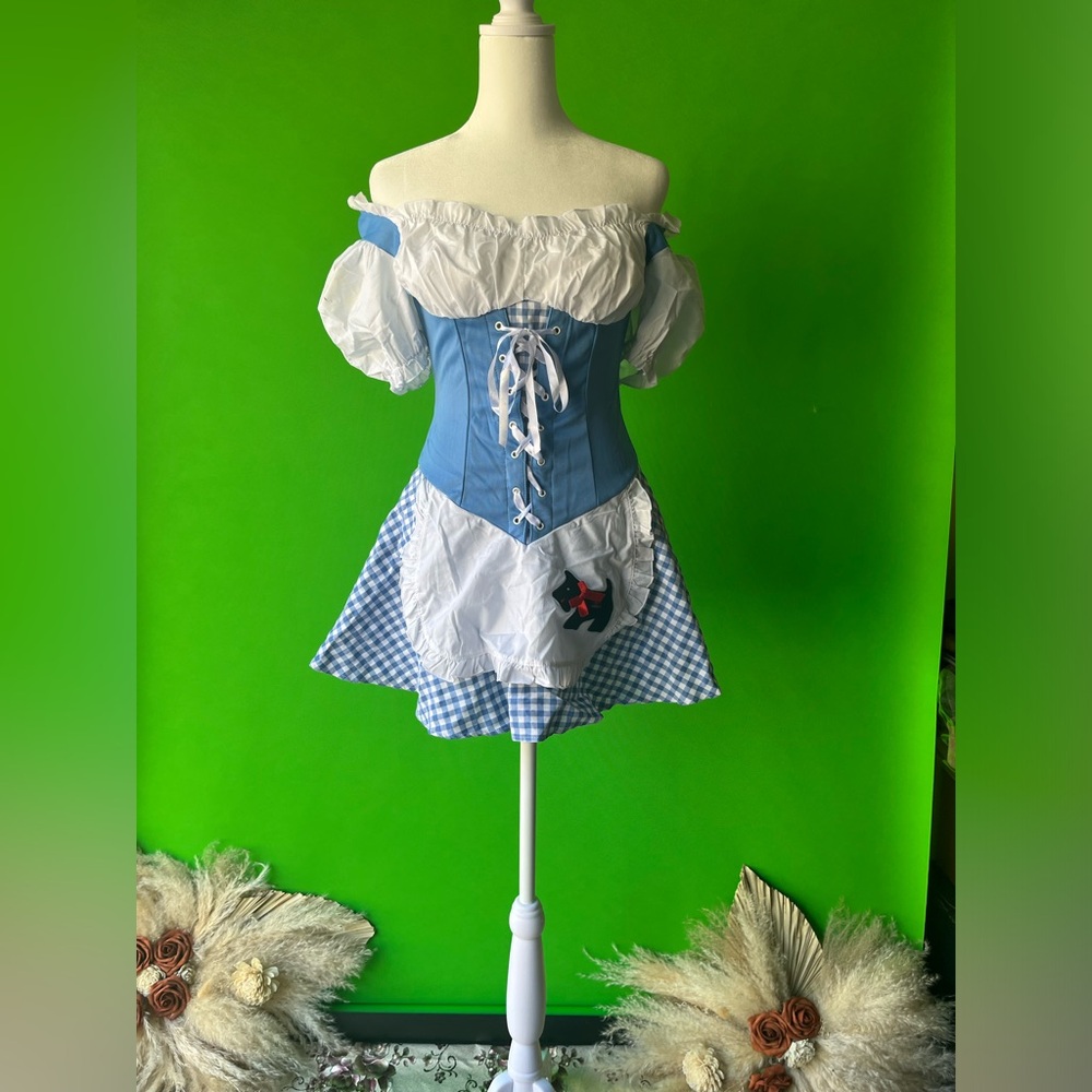 Sexy Dorothy costume